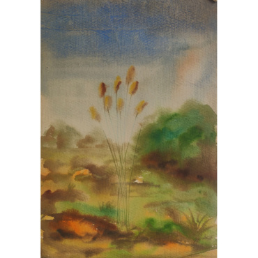 Water Color My Evening